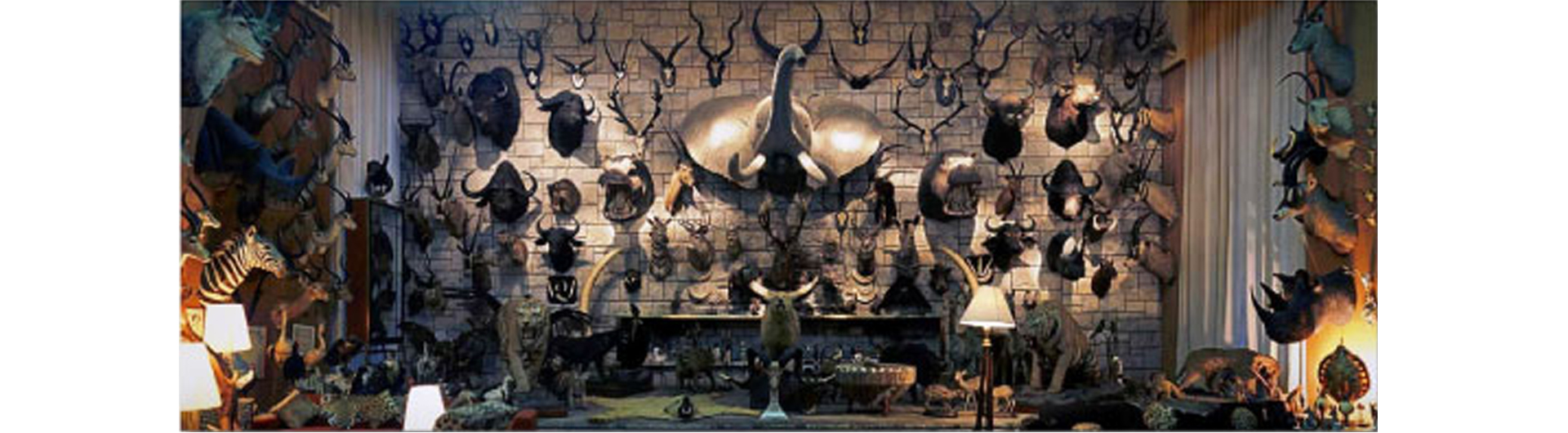 Photograph of a room with many mounted animal heads by Diego Lama