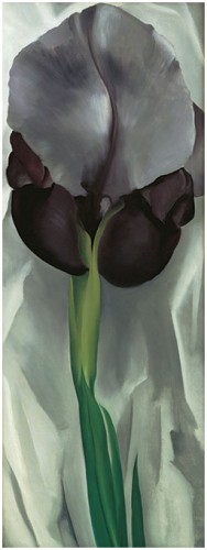 Georgia O'Keeffe Dark Iris