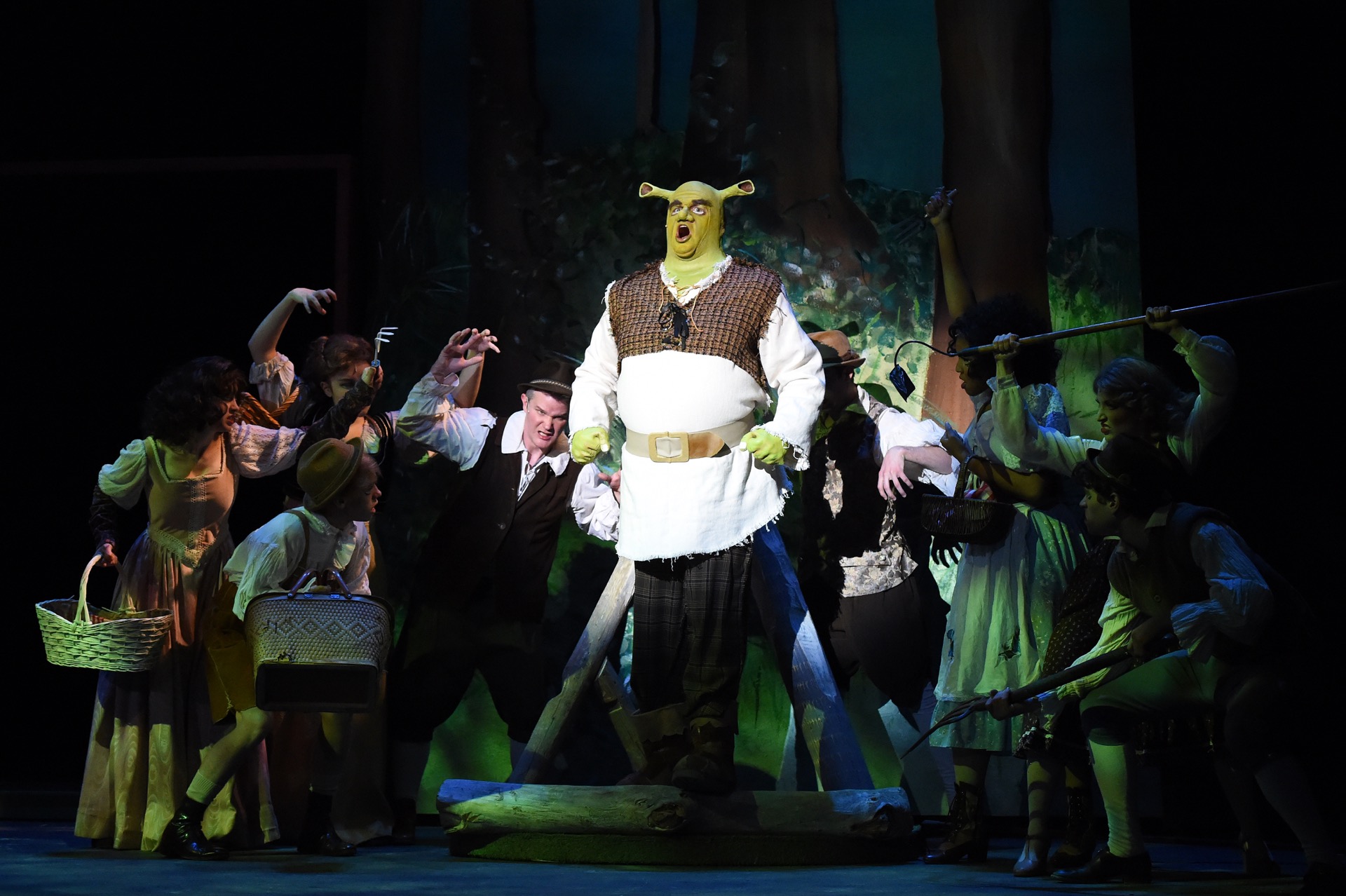 Shrek The Musical