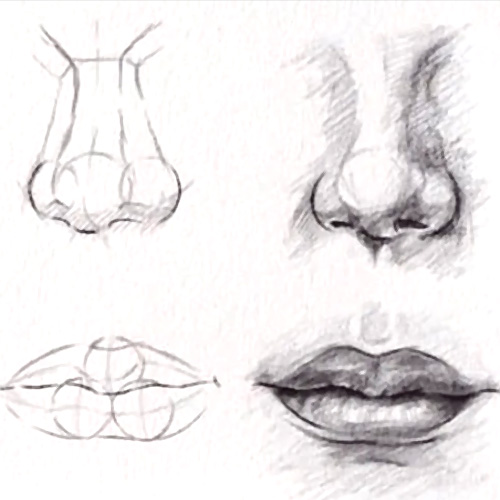nose and lips drawing