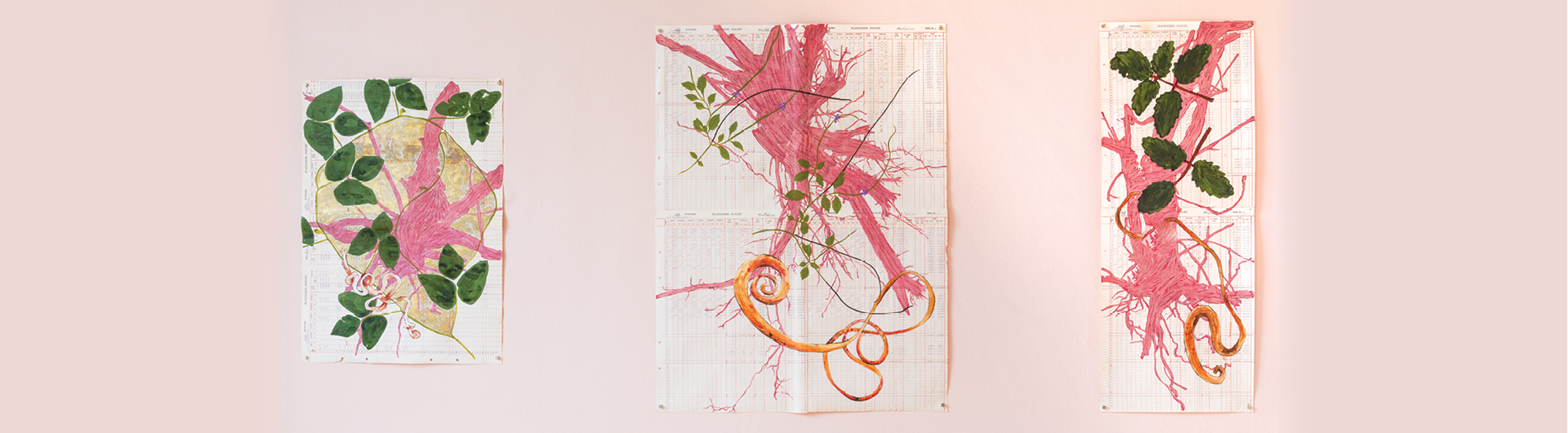 several spreadsheet papers with colored pencil drawings of abstract plants with green leaves, and pink and orange roots
