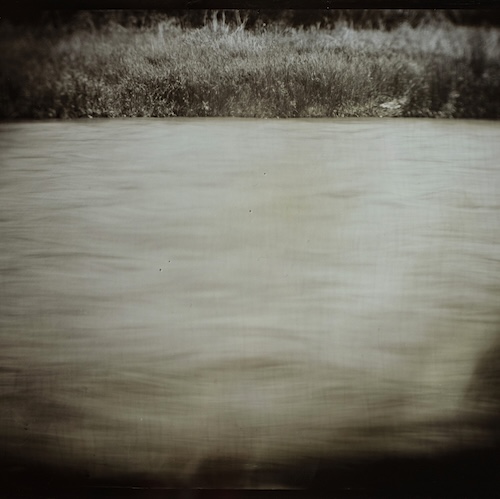 A black and white image of water with shrubbery at the shore made through wet plate colloid technique