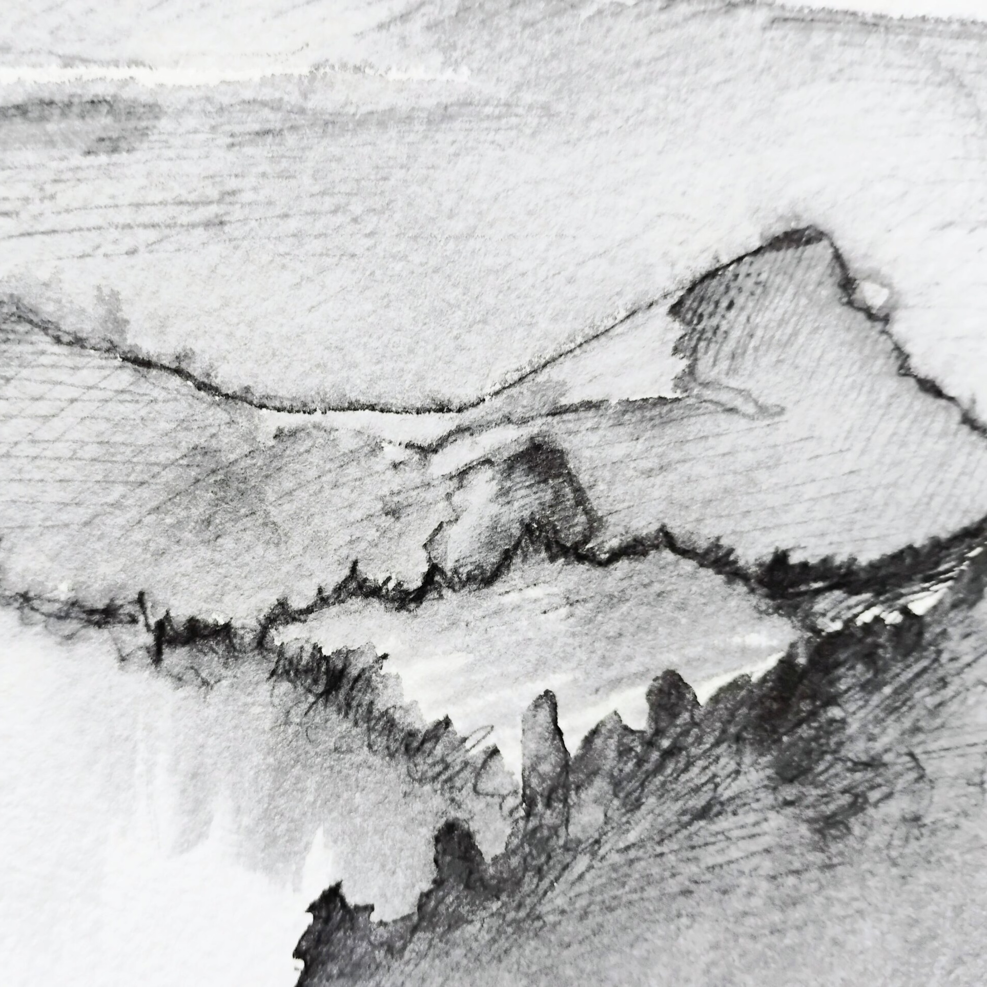 an abstract graphite drawing that resembles mountains