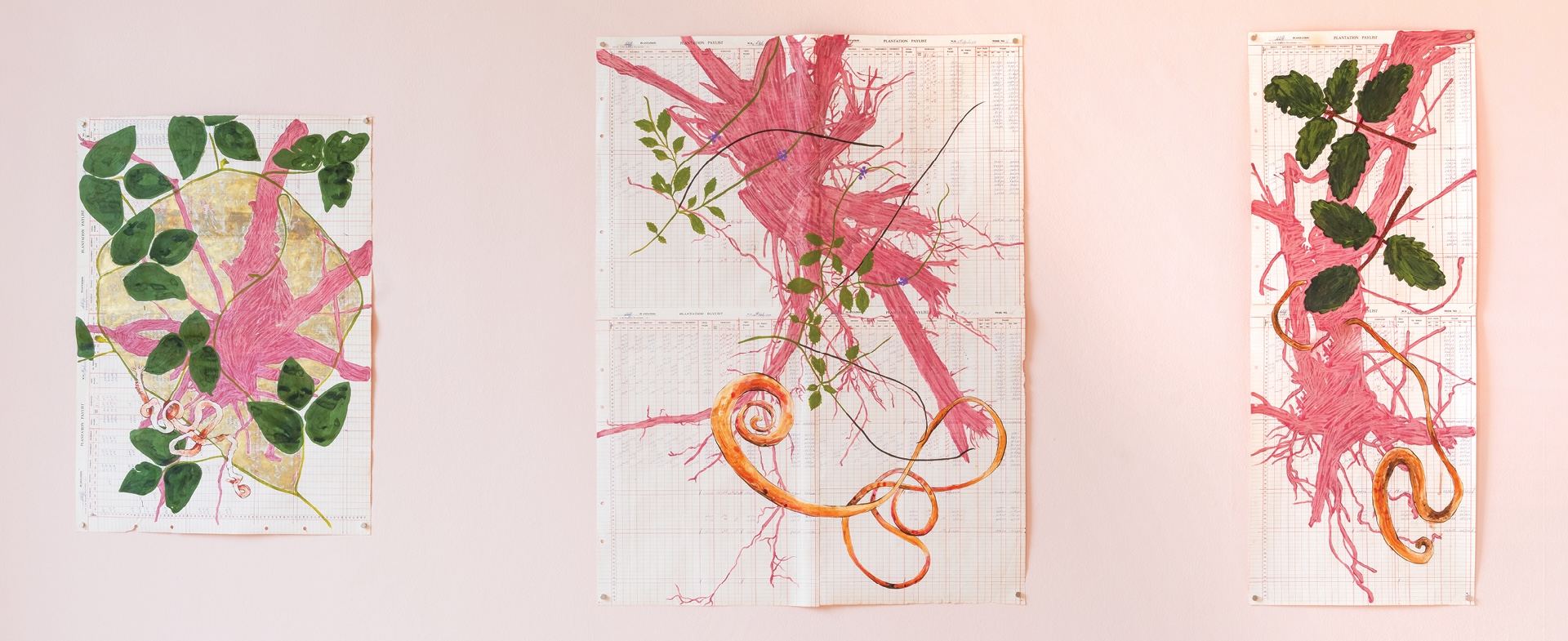 Three colored pencil botanic drawings on old spreadsheets